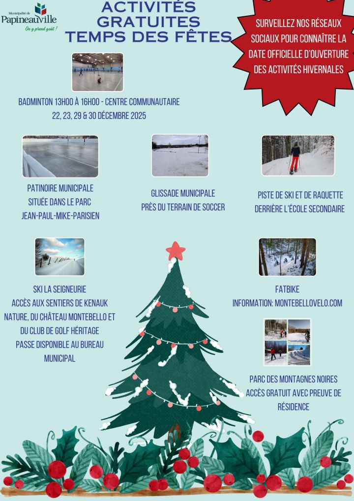 Activité temps des fêtes.jpg